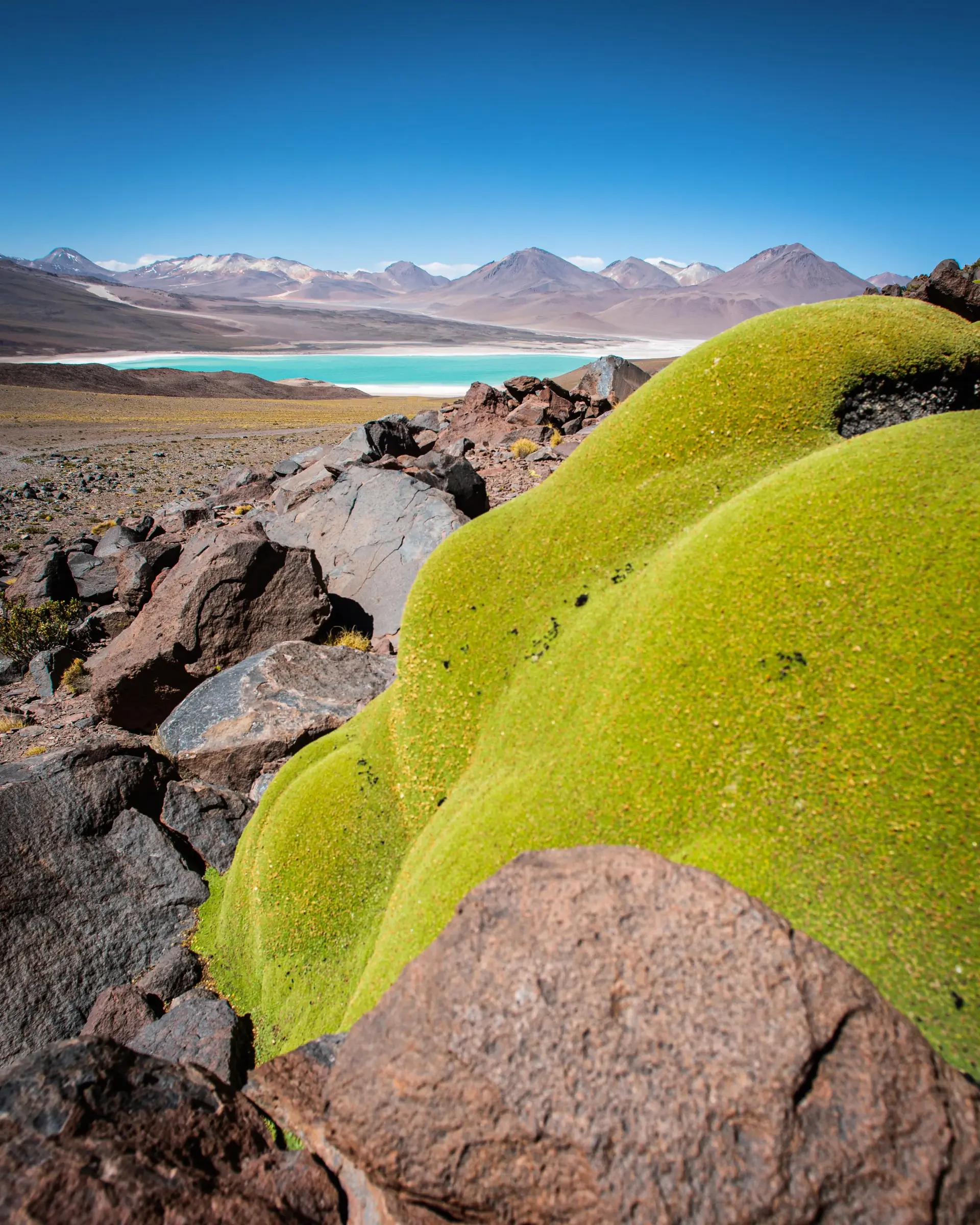 Montañismo<br><span>en Chile</span> Chile