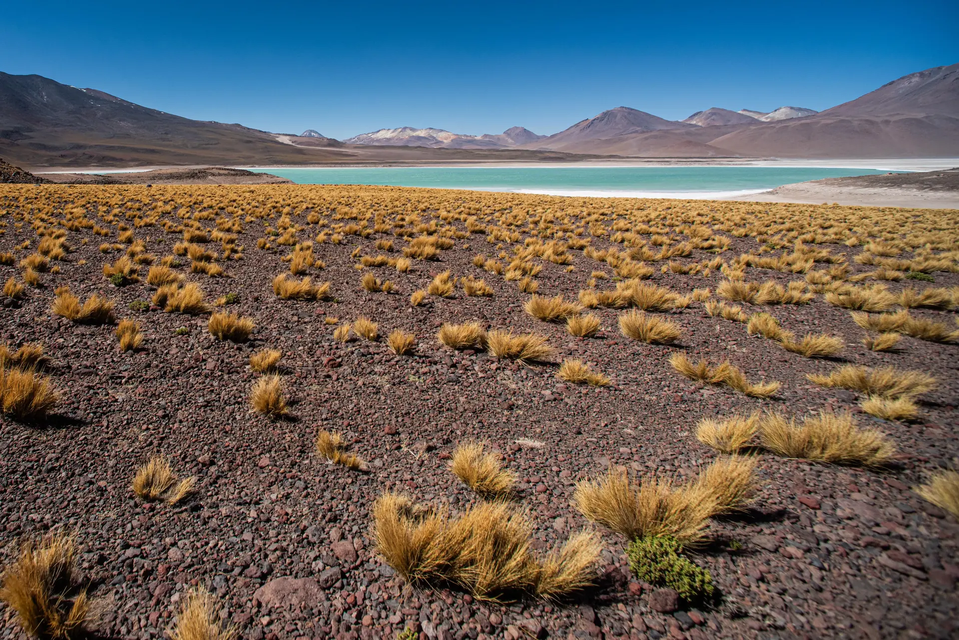 Viajes<br><span>Familiares</span> Chile