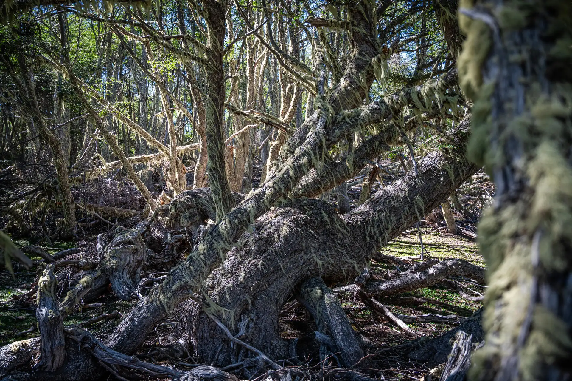Carretera Austral