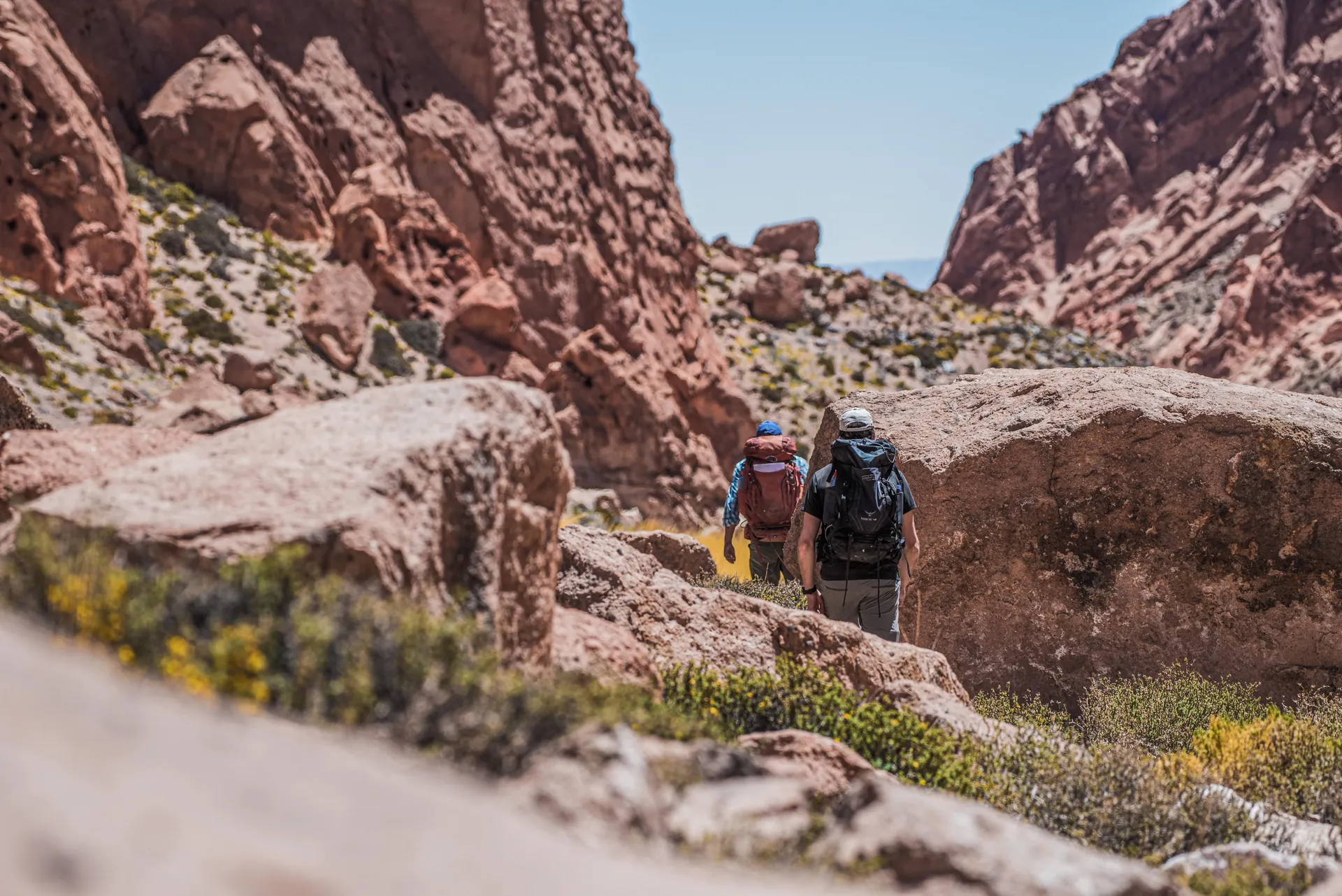Trekking en Chile