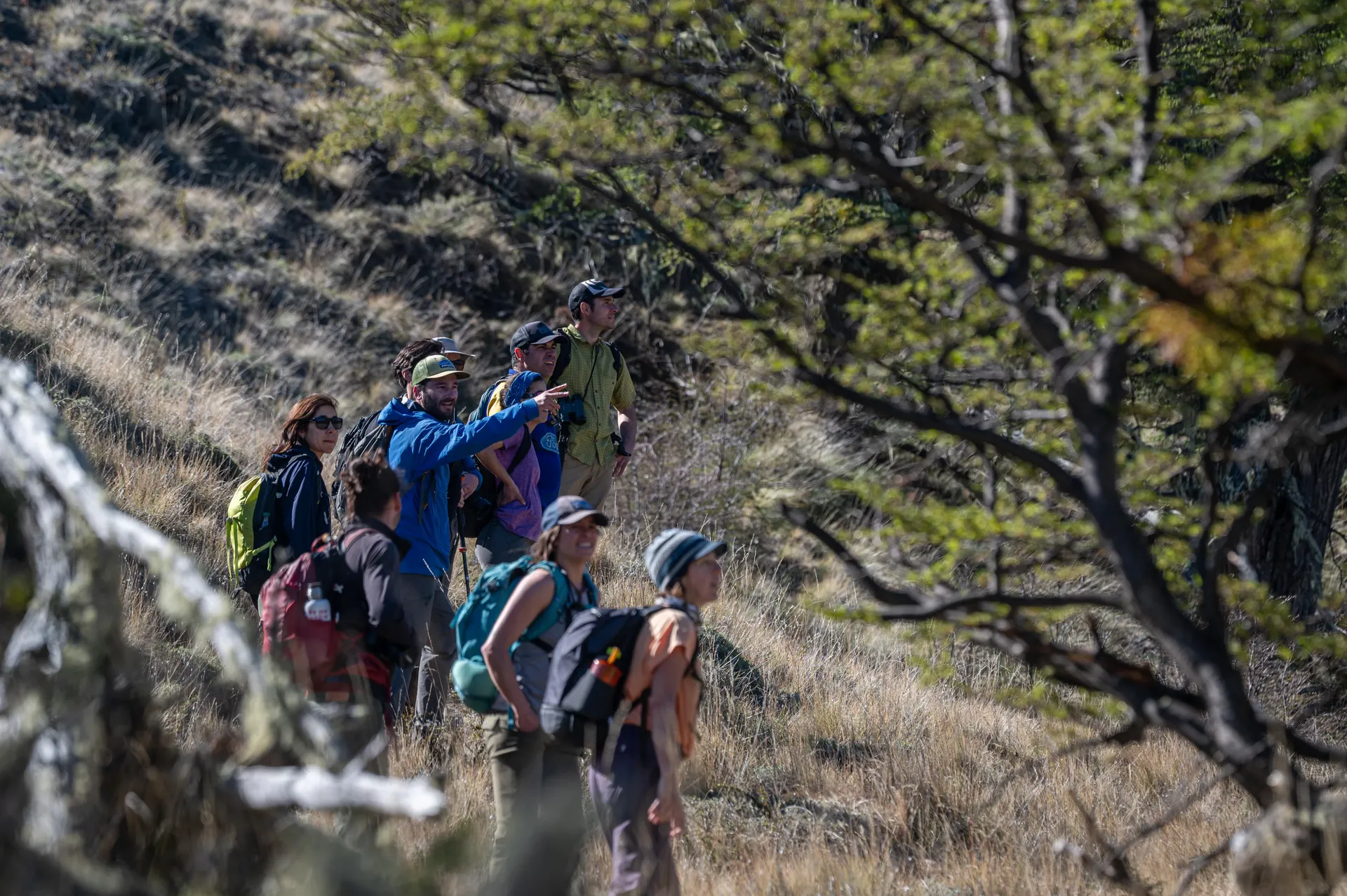 Viajes<br><span>Familiares</span> Chile